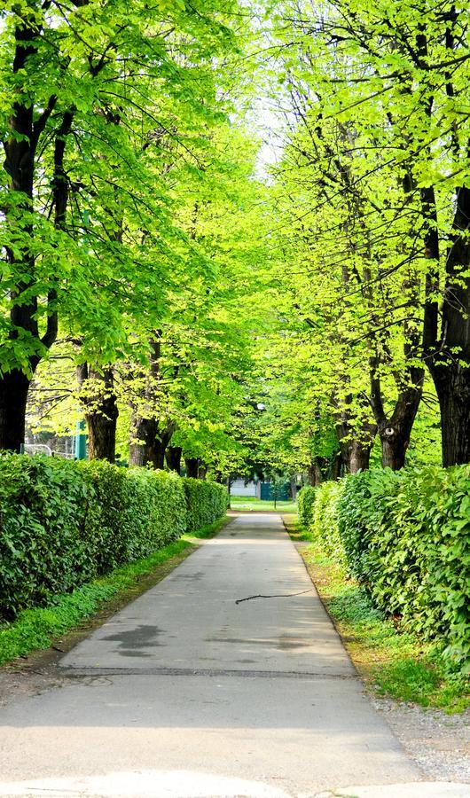 Affittacamere Casa Per Ferie Achille Ricci Milano